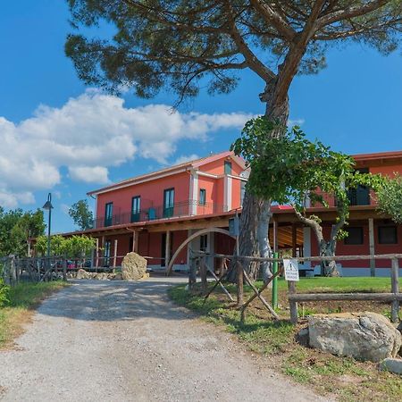 Terra Di Vento Bed & Breakfast Montecorvino Pugliano Bagian luar foto